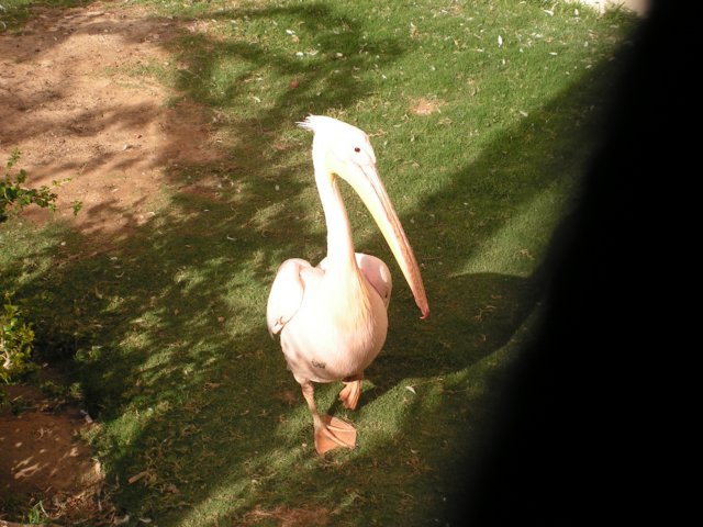 pict3345.jpg